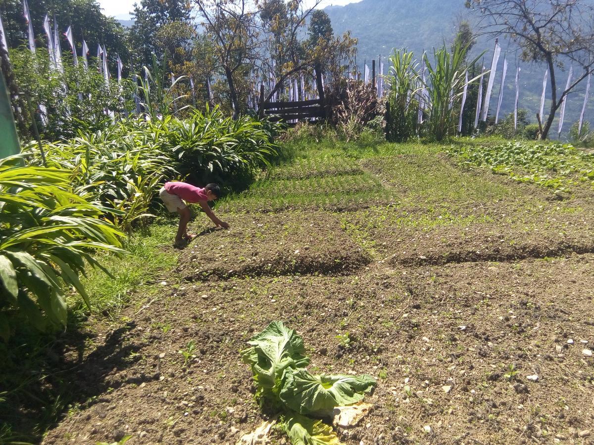 Martam Farmhouse Villa Pelling Exterior foto